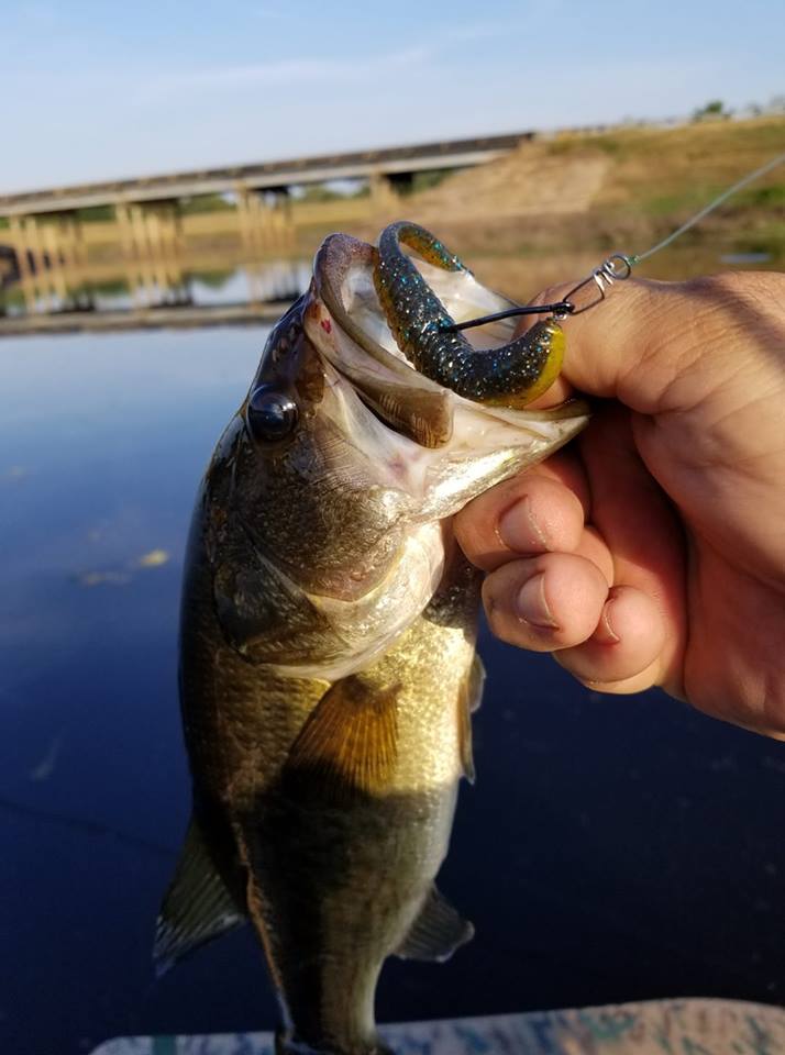 bass lures made in louisiana Lake X Lil' Basstard Team Rhino Outdoors LLC poured BFS creature bait built for finesse bass fishing Largemouth Bass Ultralight Tackle The
