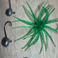 Kajun Gris Gris Bugs 2"